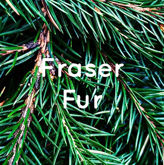 winter-fraser-fur